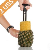 Fruit Pineapple Easy...