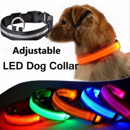 Dog Collar LED Light...
