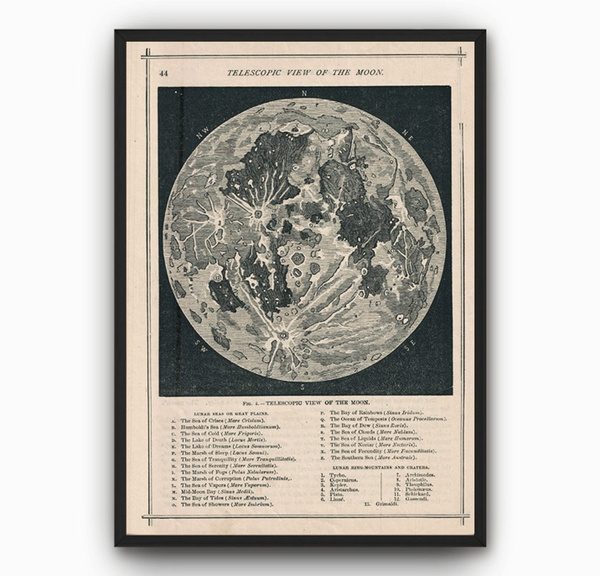Moon Moon Chart