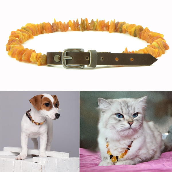 Amber Flea and Tick Collar with Adjustable Leather Strap for Dogs and Cat
