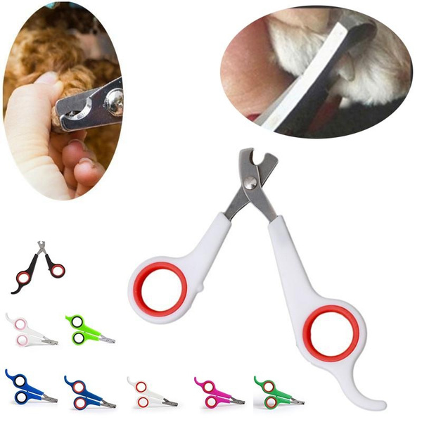 guinea pig nail clippers