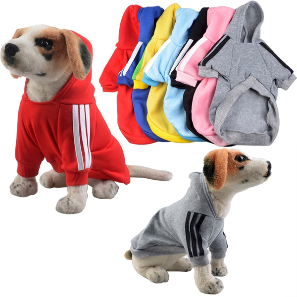 puppy adidas jacket