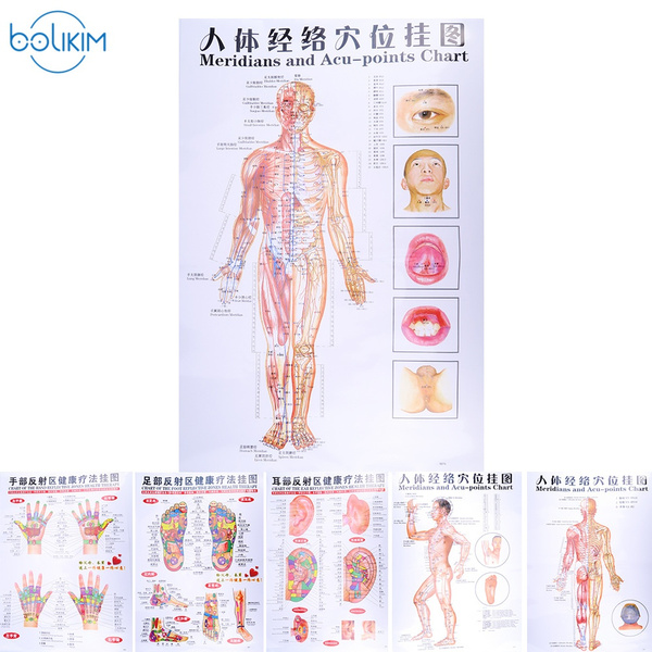 Meridians Of The Body Chart