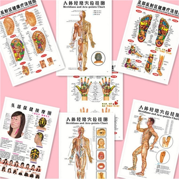 Acupuncture Points Chart English