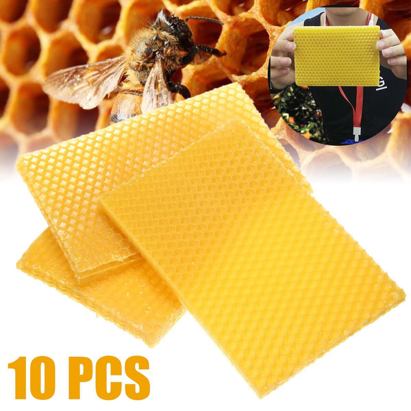 10 PCS Beekeeping Honeycomb Wax Frames Foundation Honey Hive Equipment Tool