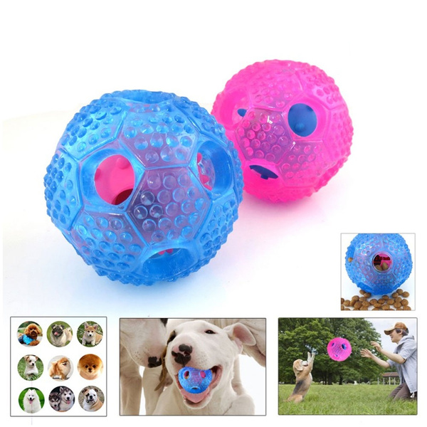 foraging balls for dogs