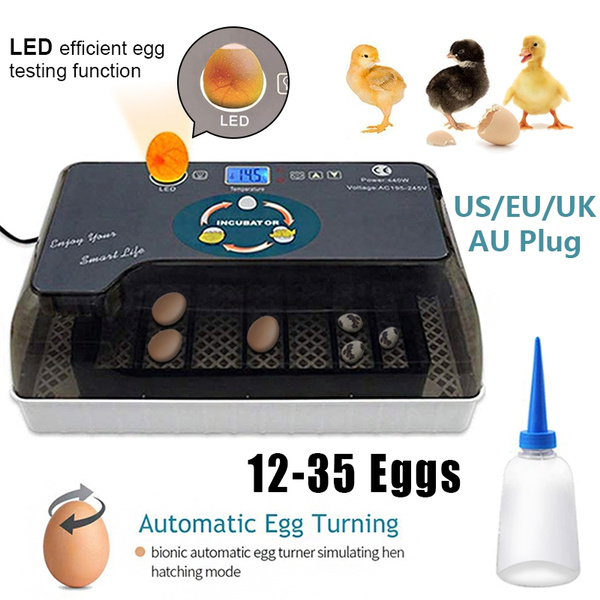 Farm Incubator Machine 12 Eggs Automatic Quail Incubators Chicken ...