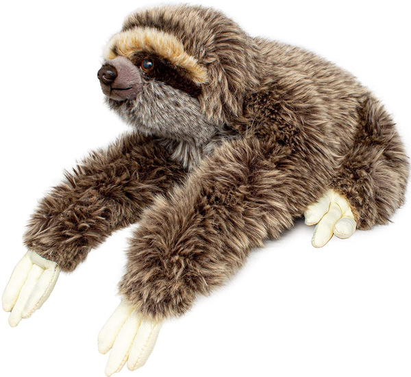 cuddly sloth