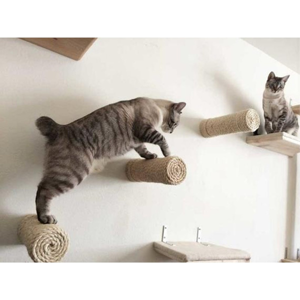 wall toys for cats